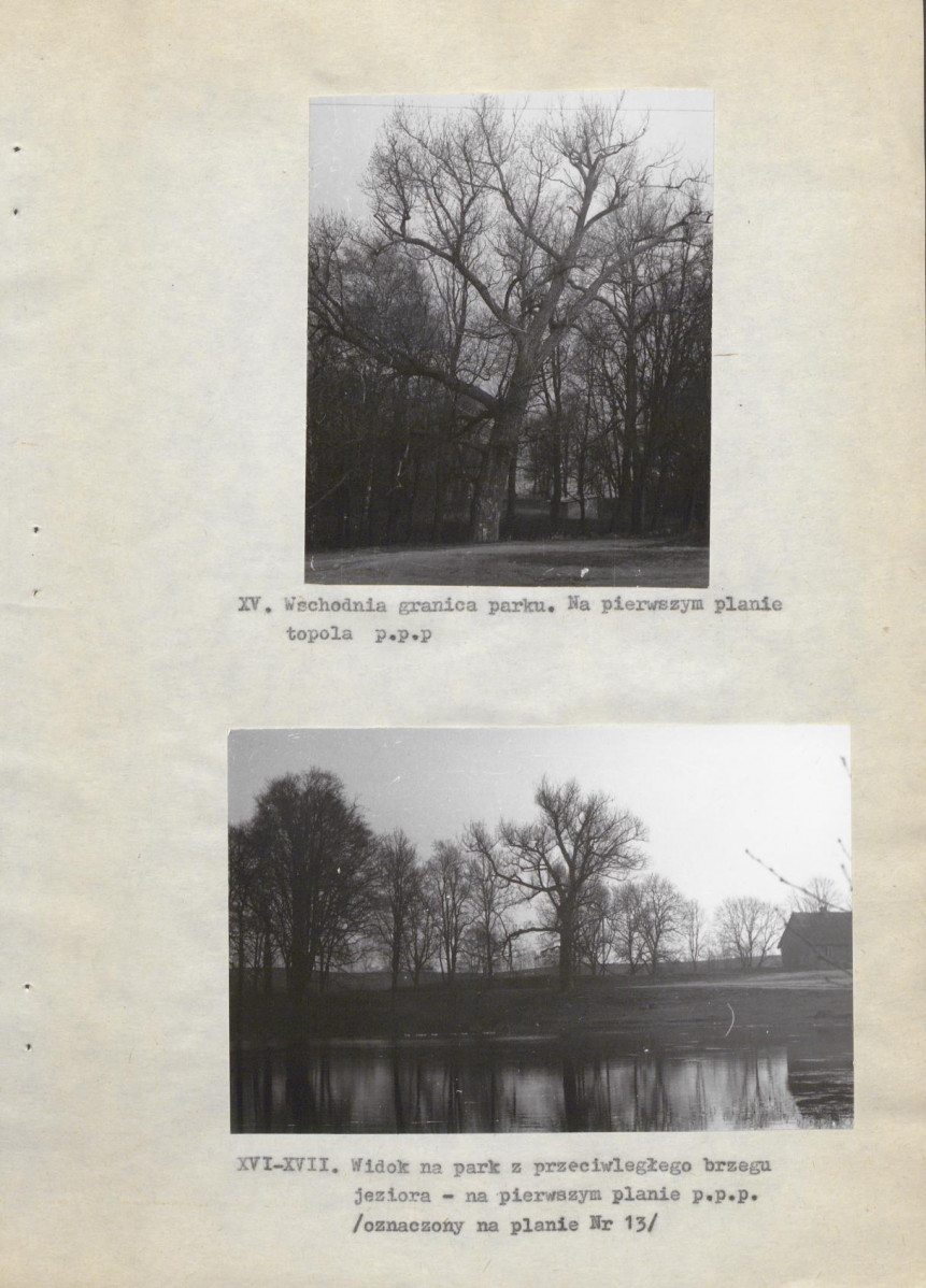 Ewidencja parkowa, skan nr 28