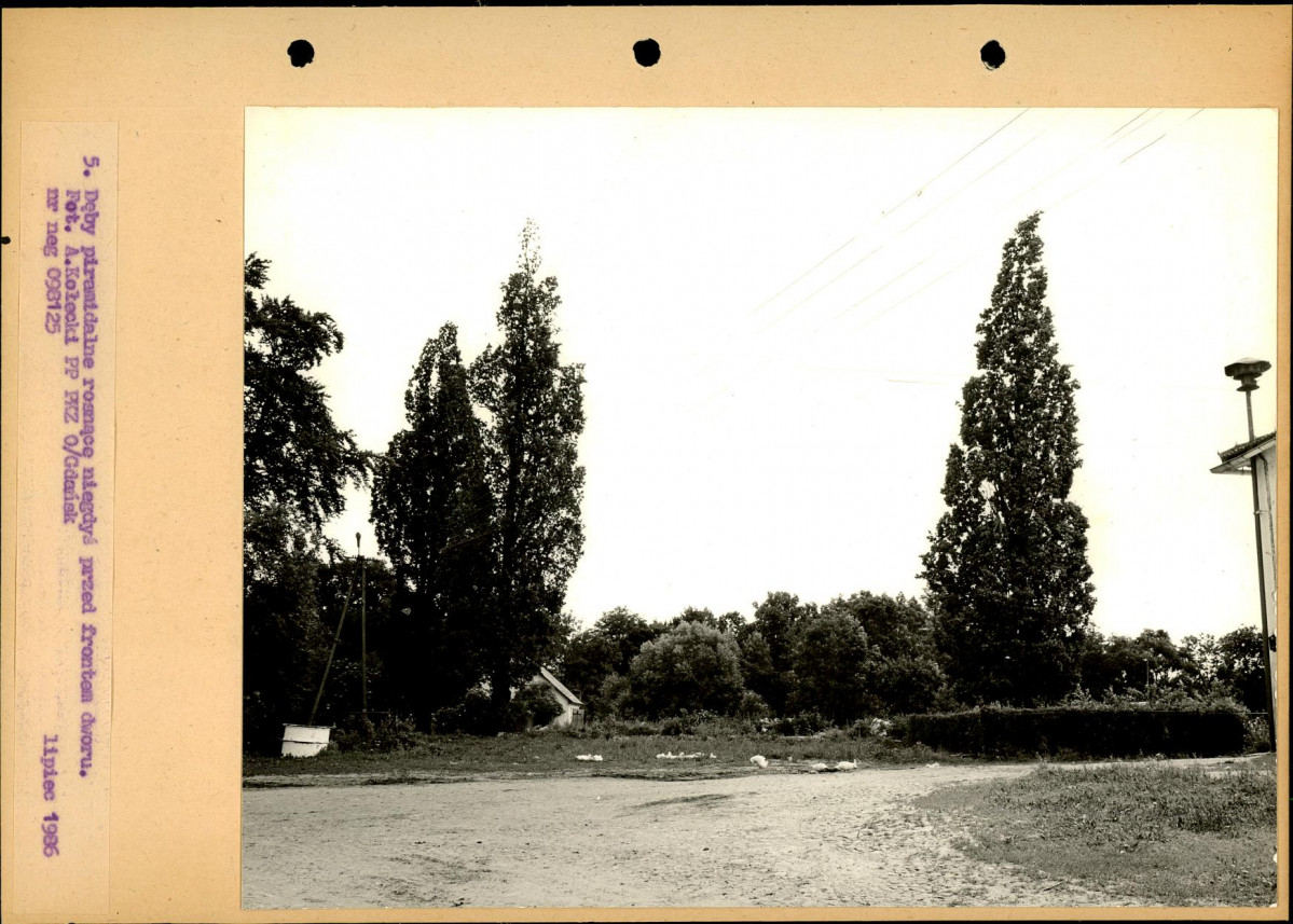 Ewidencja parkowa, skan nr 32