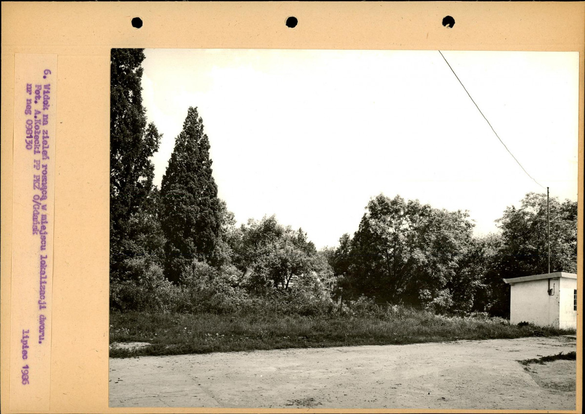 Ewidencja parkowa, skan nr 33