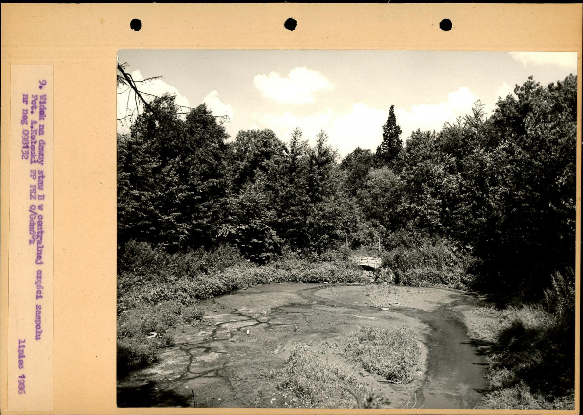 Ewidencja parkowa, skan nr 36