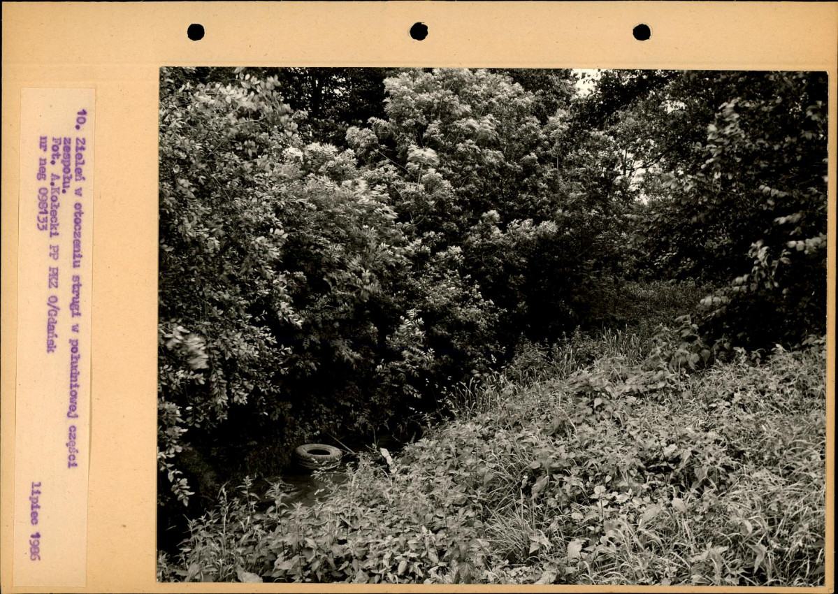 Ewidencja parkowa, skan nr 37