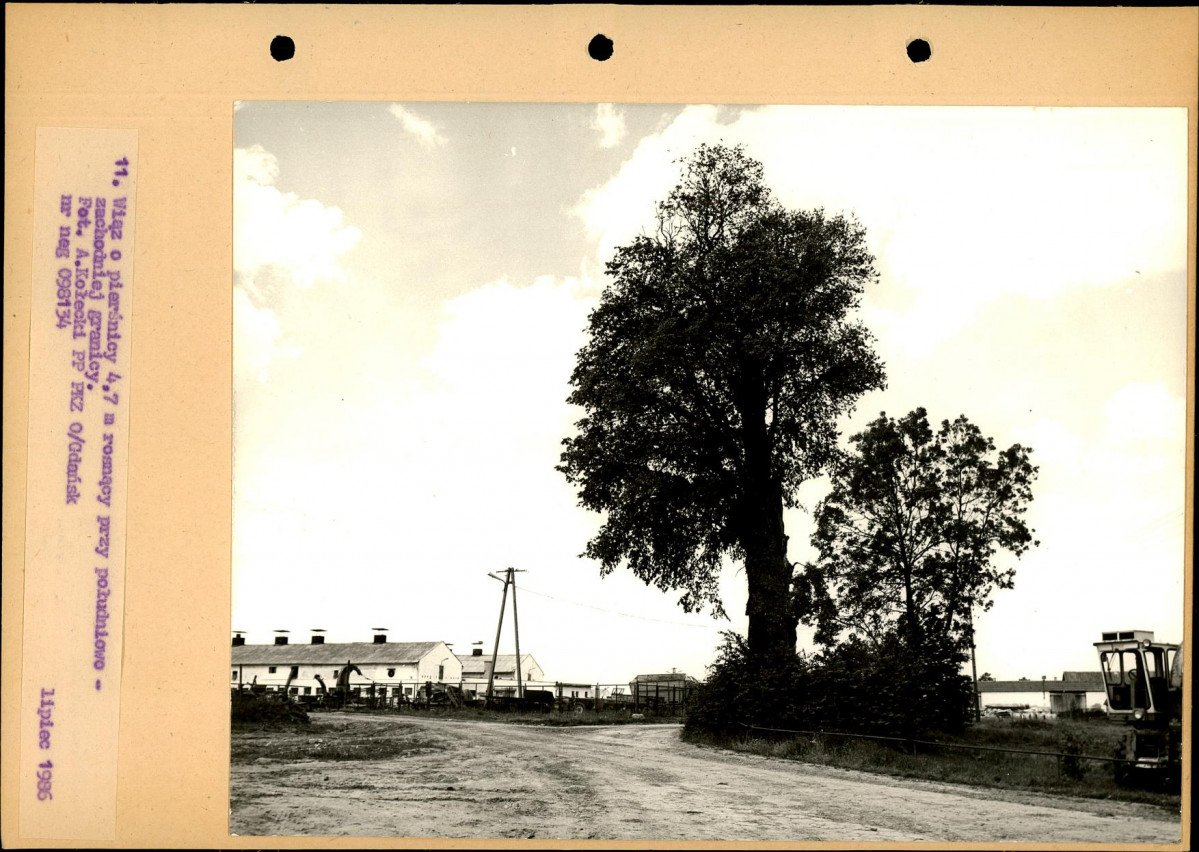 Ewidencja parkowa, skan nr 38