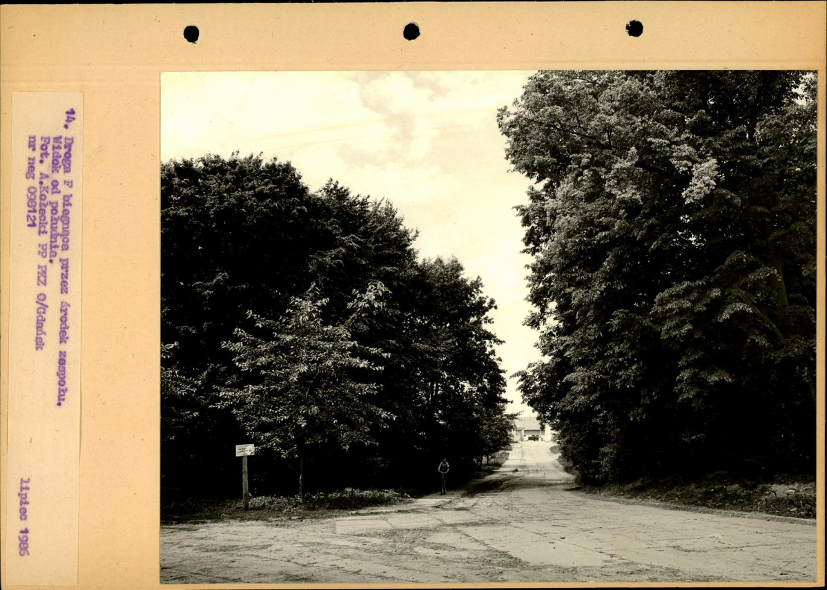 Ewidencja parkowa, skan nr 41