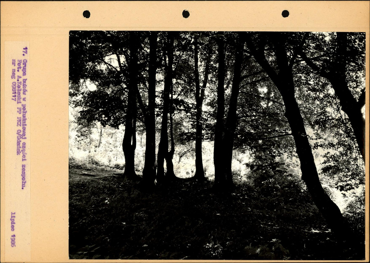 Ewidencja parkowa, skan nr 44