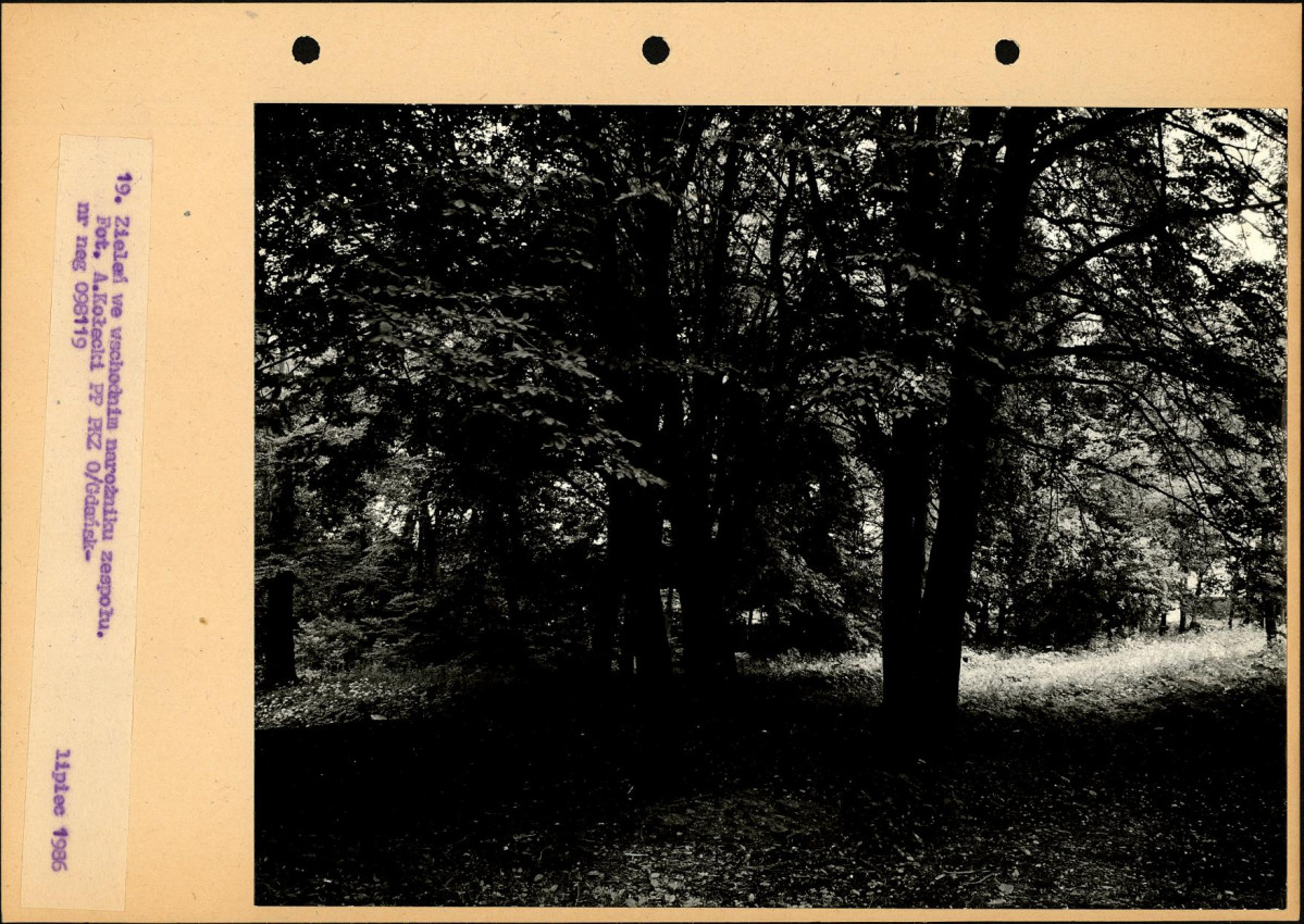 Ewidencja parkowa, skan nr 46