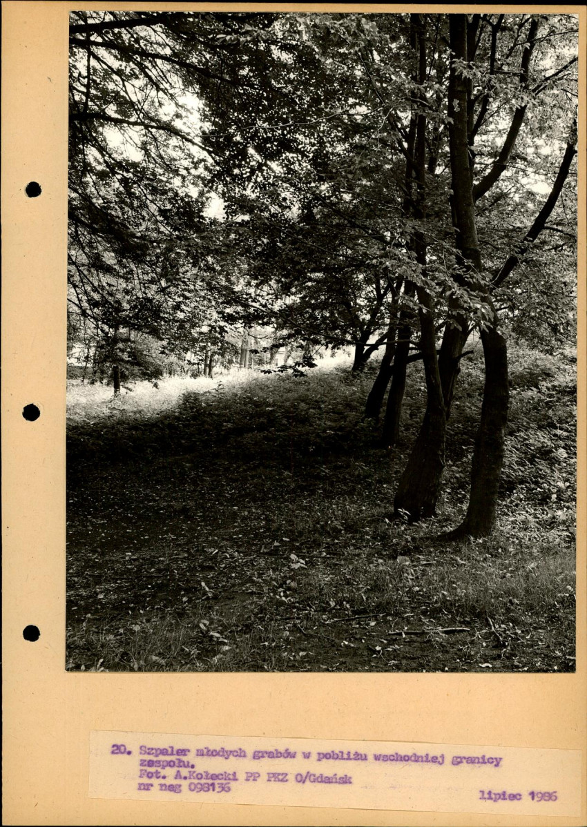 Ewidencja parkowa, skan nr 47