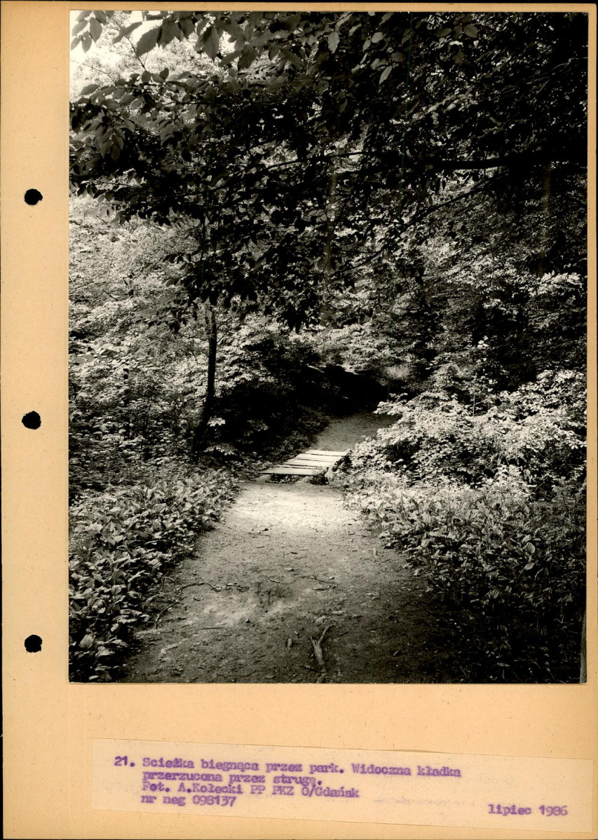 Ewidencja parkowa, skan nr 48