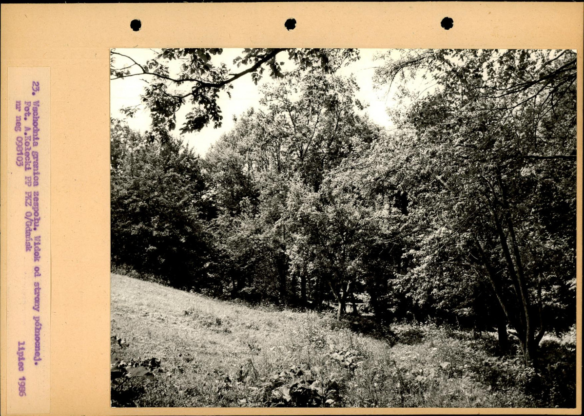 Ewidencja parkowa, skan nr 50