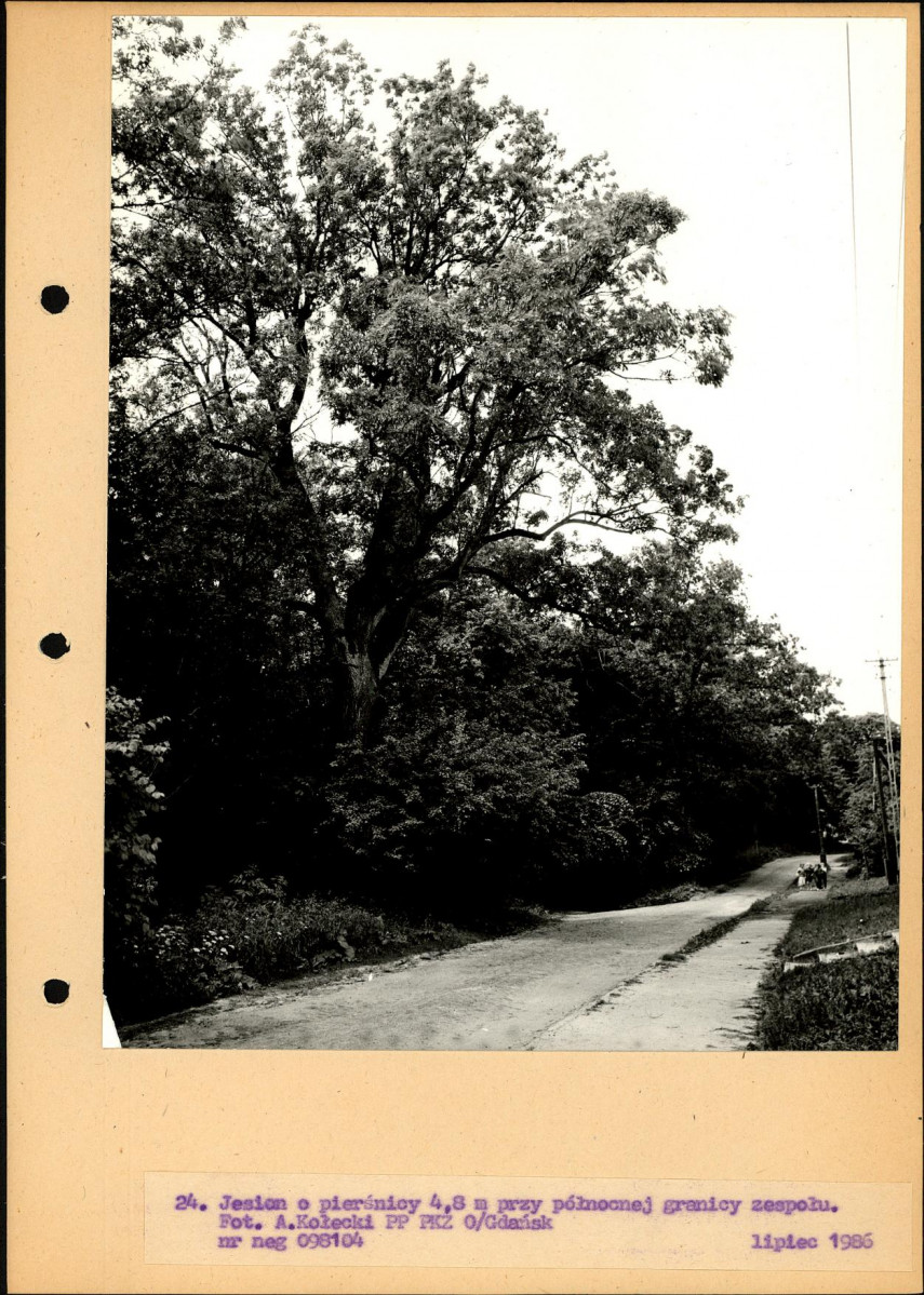 Ewidencja parkowa, skan nr 51