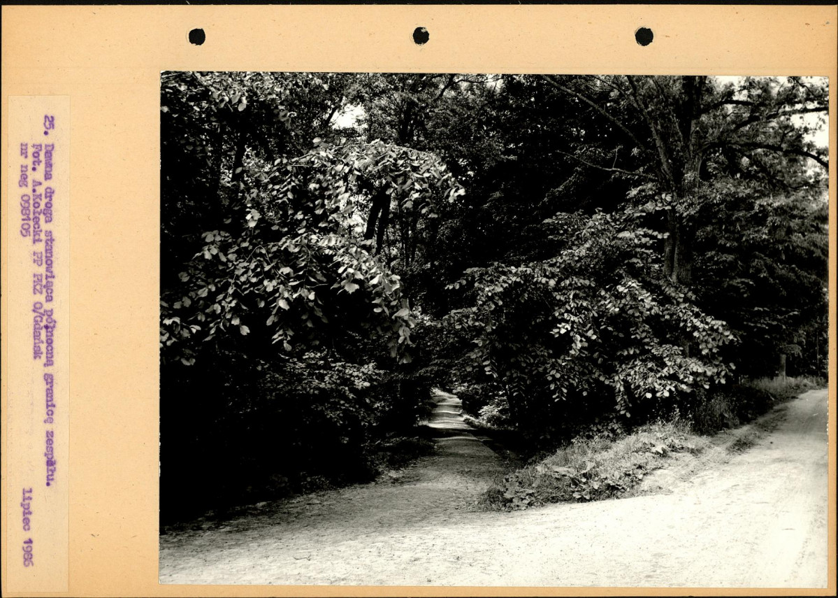 Ewidencja parkowa, skan nr 52