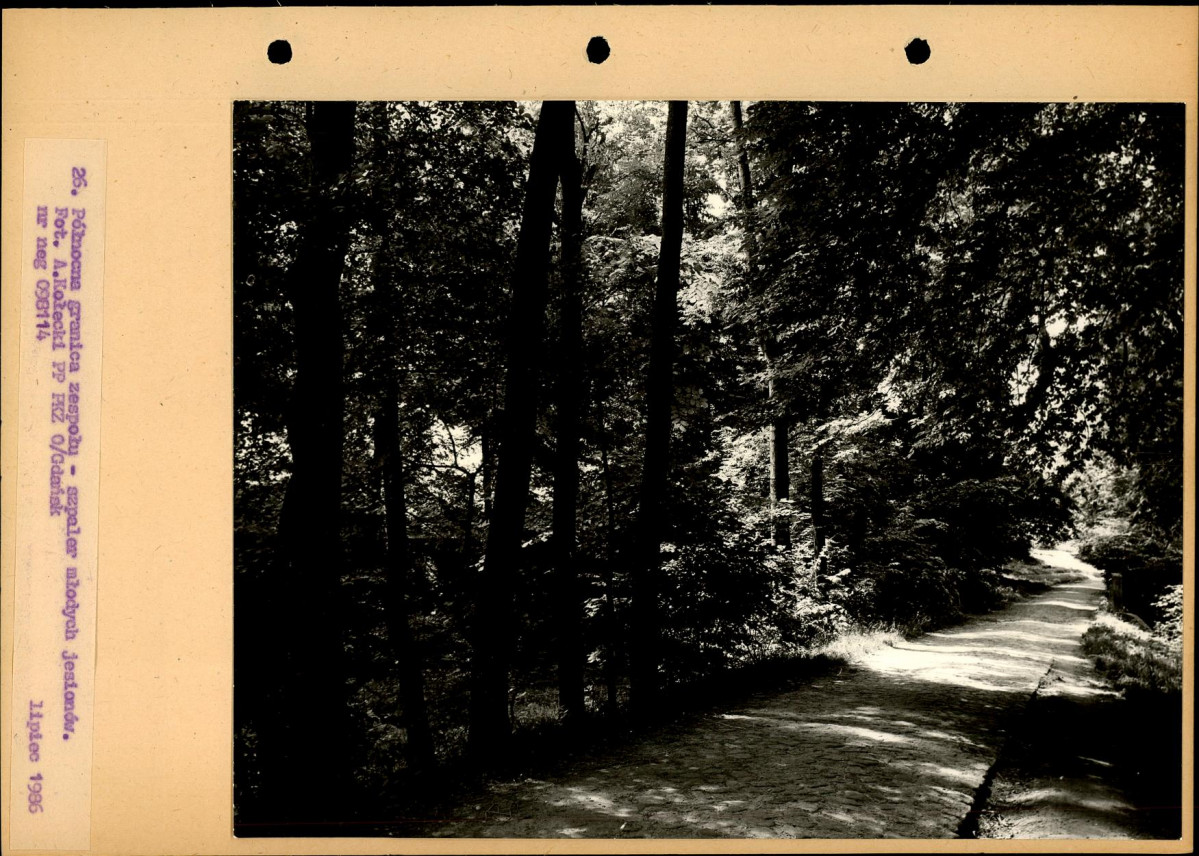 Ewidencja parkowa, skan nr 53