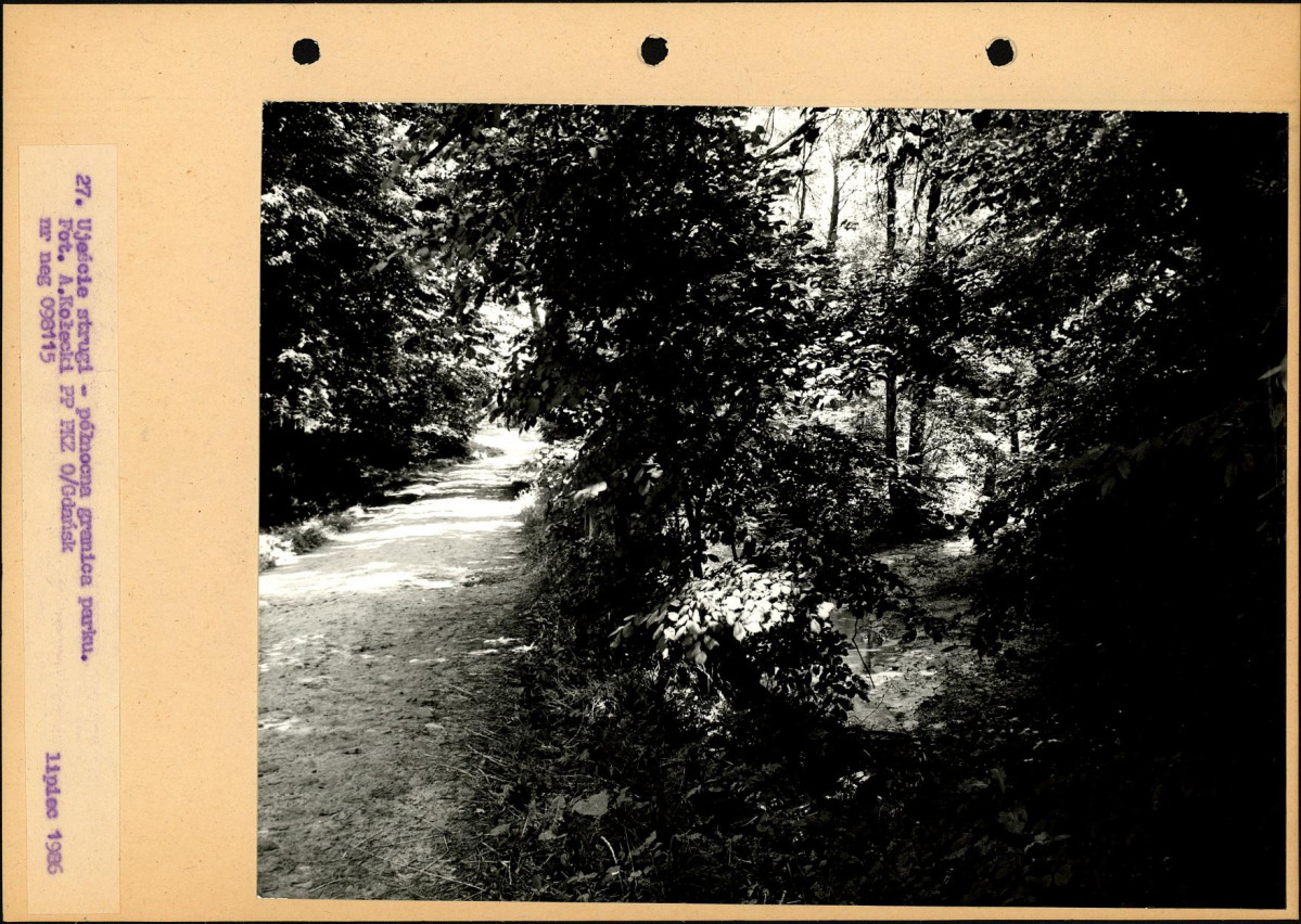 Ewidencja parkowa, skan nr 54