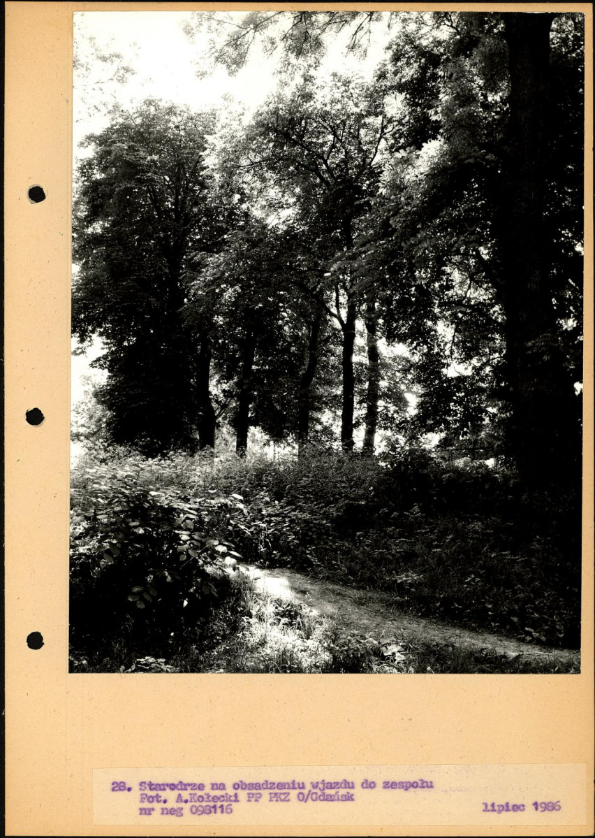 Ewidencja parkowa, skan nr 55