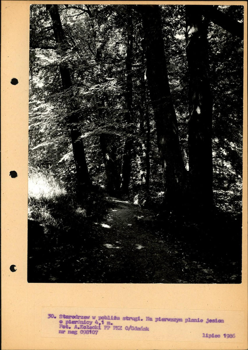 Ewidencja parkowa, skan nr 57