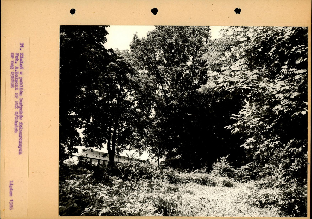 Ewidencja parkowa, skan nr 58