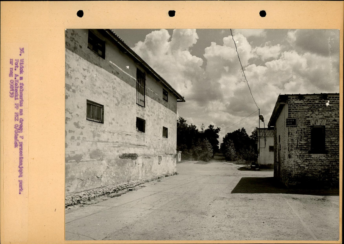 Ewidencja parkowa, skan nr 63