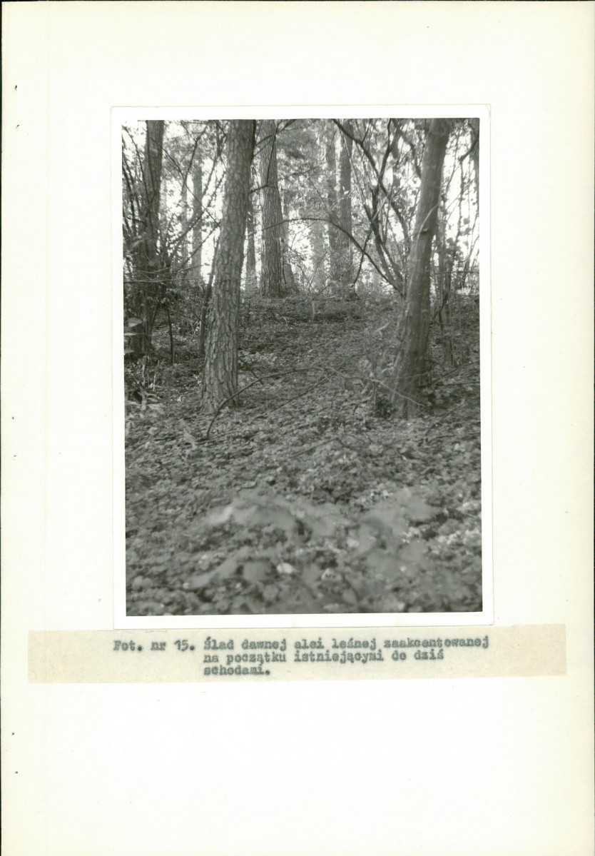 Ewidencja parkowa, skan nr 34