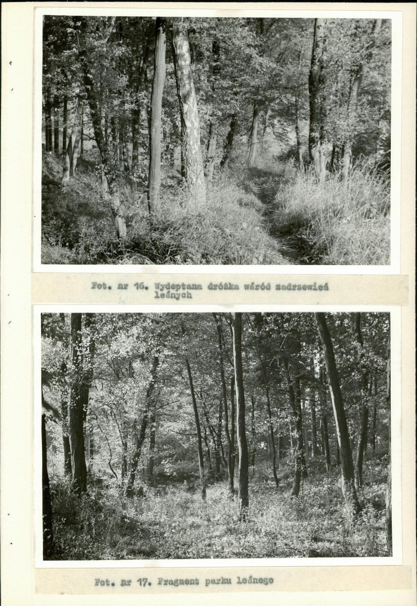 Ewidencja parkowa, skan nr 35