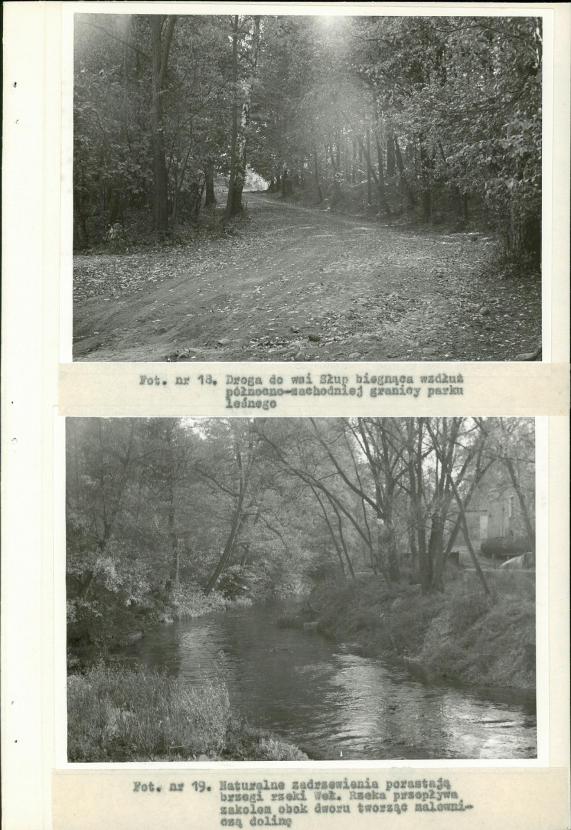 Ewidencja parkowa, skan nr 36