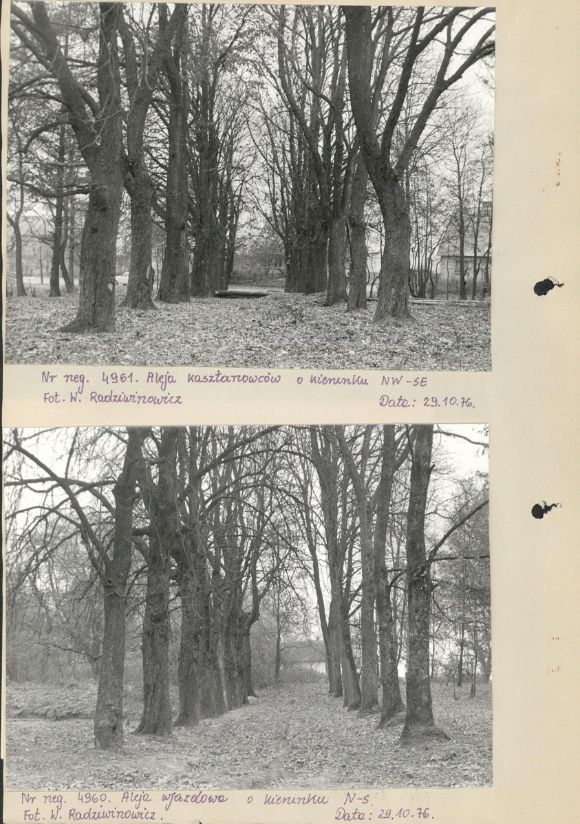 Ewidencja parkowa, skan nr 9