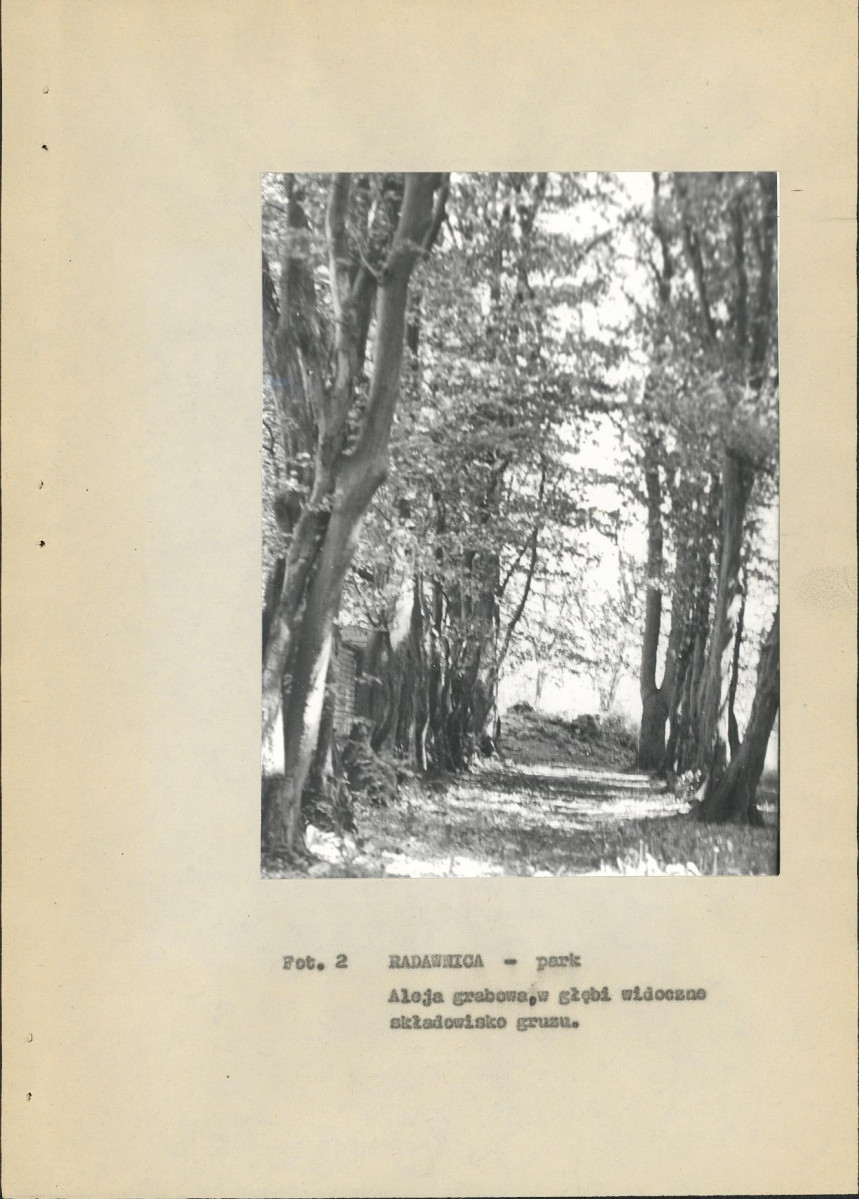 Ewidencja parkowa, skan nr 21