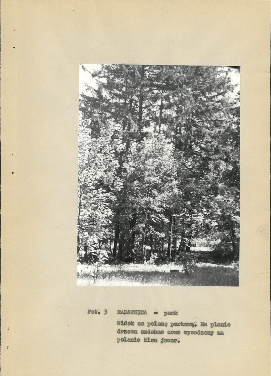 Ewidencja parkowa, skan nr 22