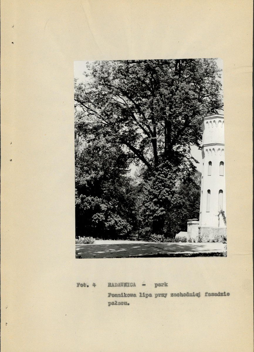 Ewidencja parkowa, skan nr 23