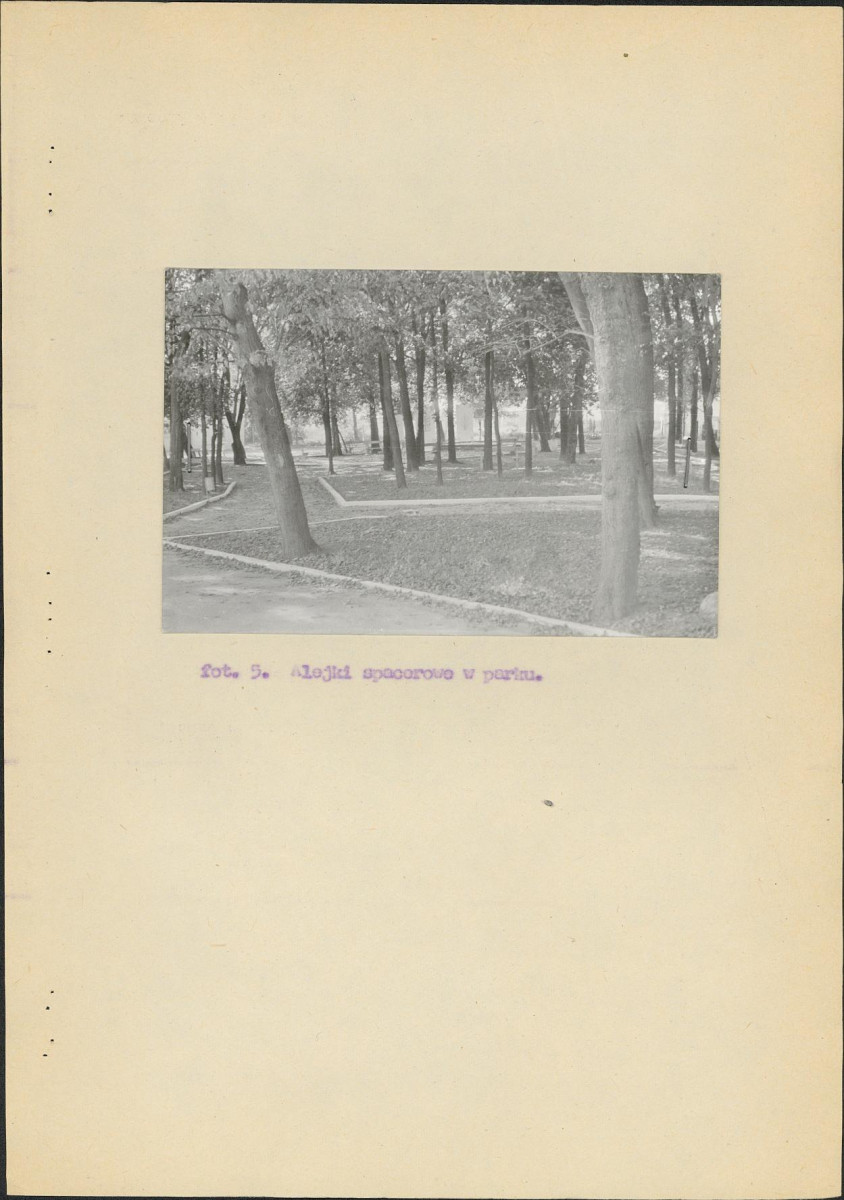 EP - Ewidencja parkowa, skan nr 24