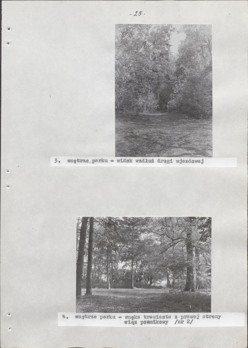 Ewidencja parkowa, skan nr 31