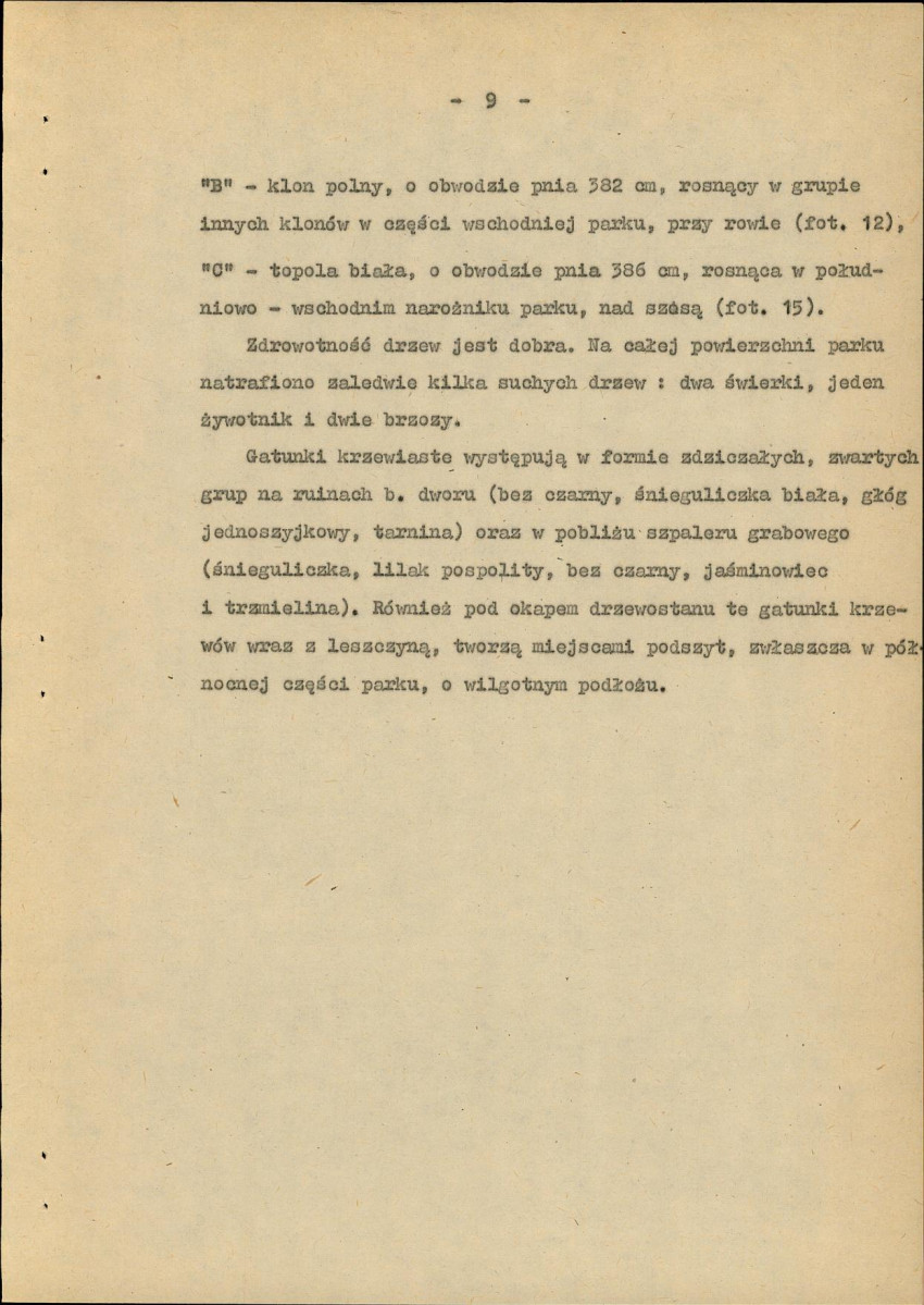 Ewidencja parkowa, skan nr 16