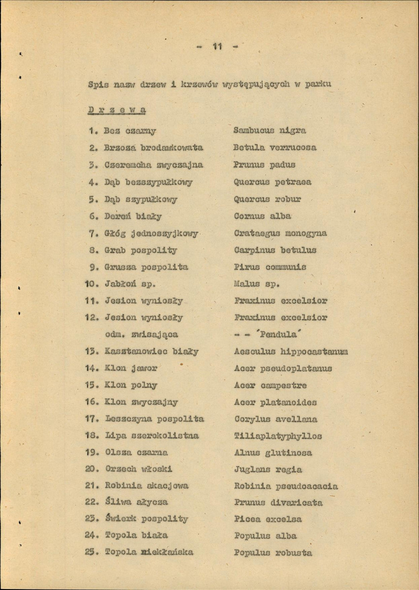 Ewidencja parkowa, skan nr 18