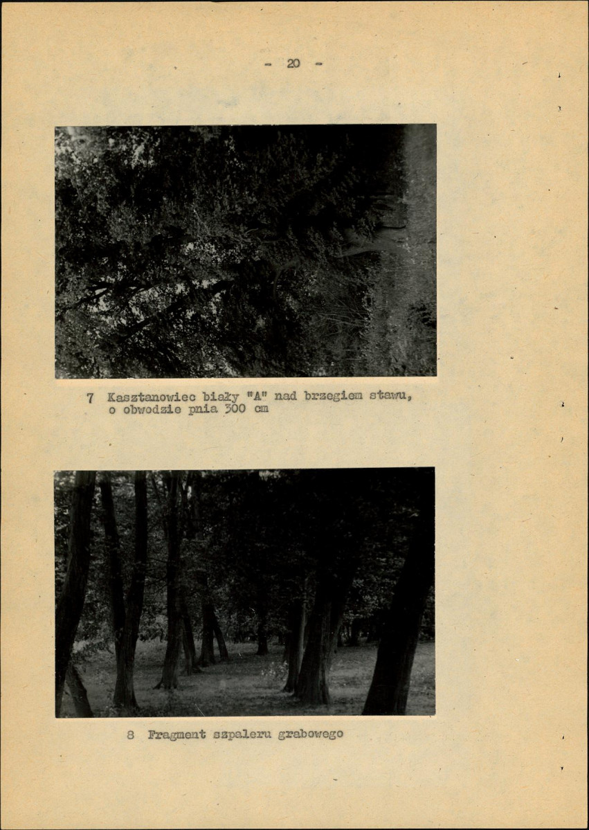 Ewidencja parkowa, skan nr 27