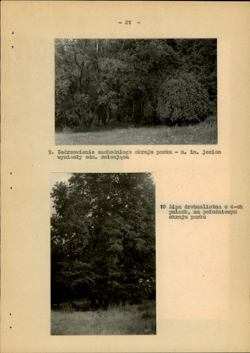 Ewidencja parkowa, skan nr 28