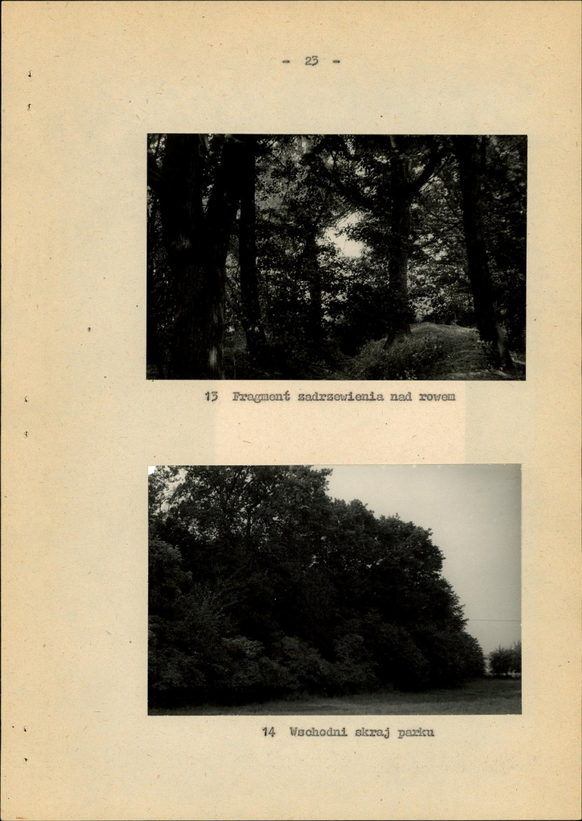 Ewidencja parkowa, skan nr 30