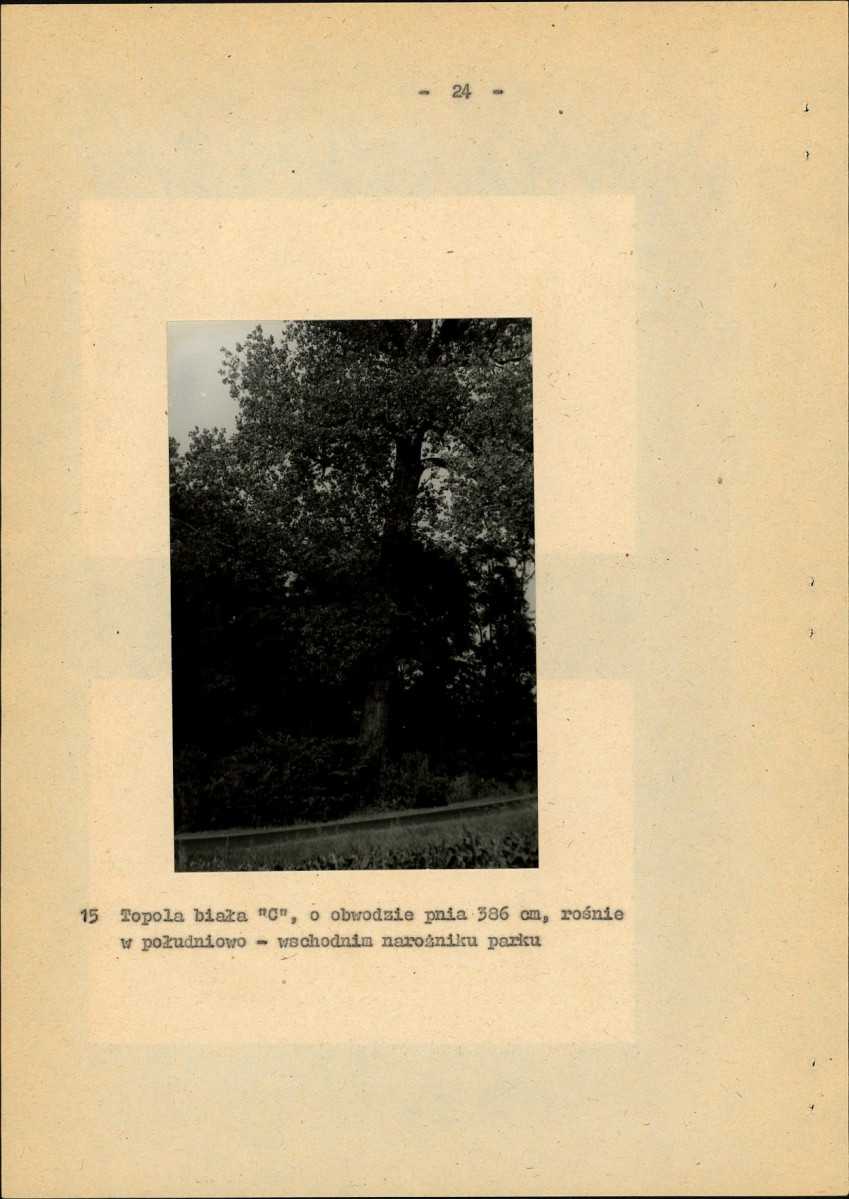 Ewidencja parkowa, skan nr 31