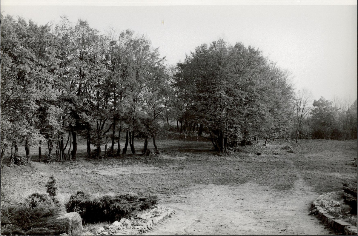 Ewidencja parkowa, skan nr 29