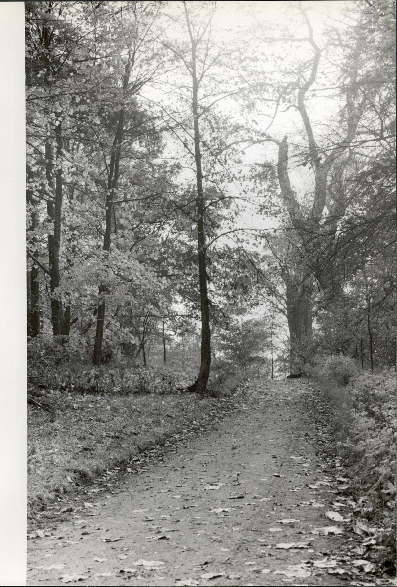 Ewidencja parkowa, skan nr 35