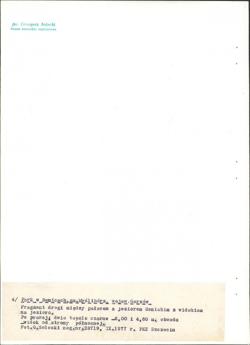 Ewidencja parkowa, skan nr 36