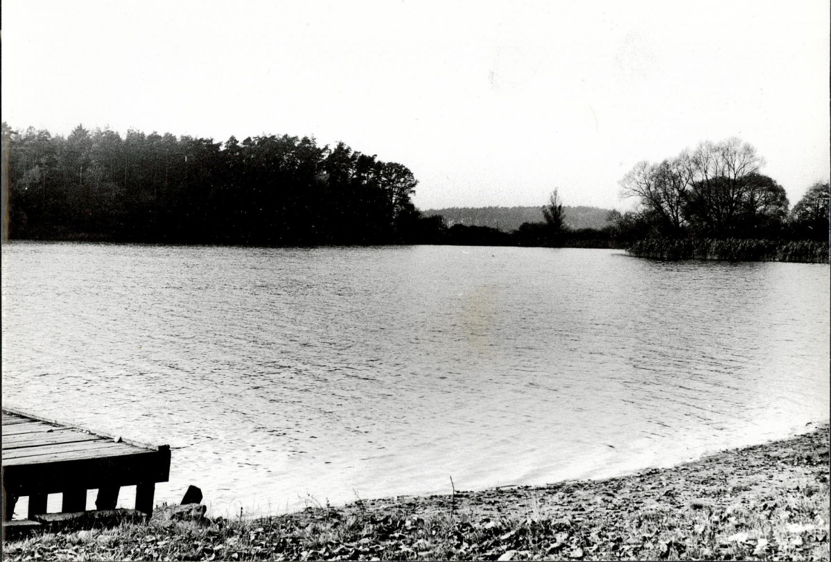 Ewidencja parkowa, skan nr 39