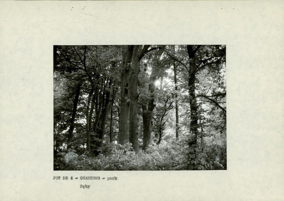 EP - Ewidencja parkowa, skan nr 17