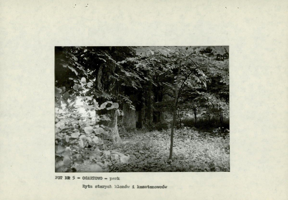 EP - Ewidencja parkowa, skan nr 18