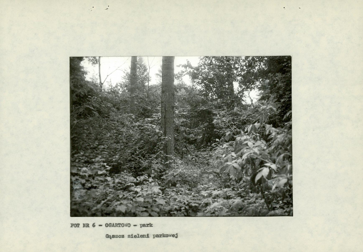 EP - Ewidencja parkowa, skan nr 19