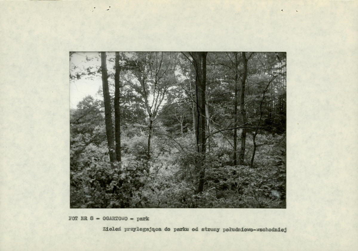 EP - Ewidencja parkowa, skan nr 21