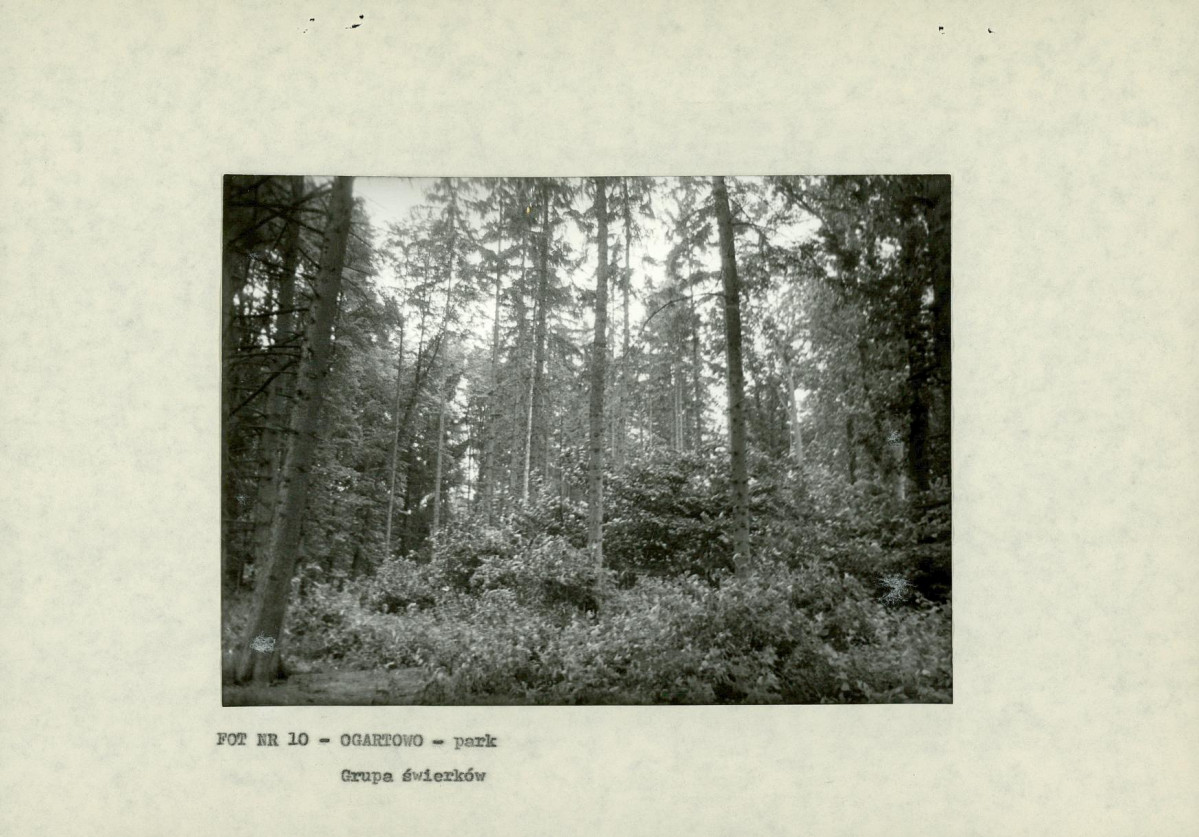 EP - Ewidencja parkowa, skan nr 23