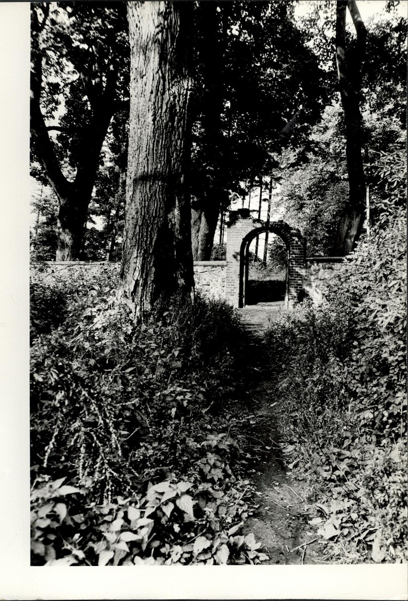 Ewidencja parkowa, skan nr 23