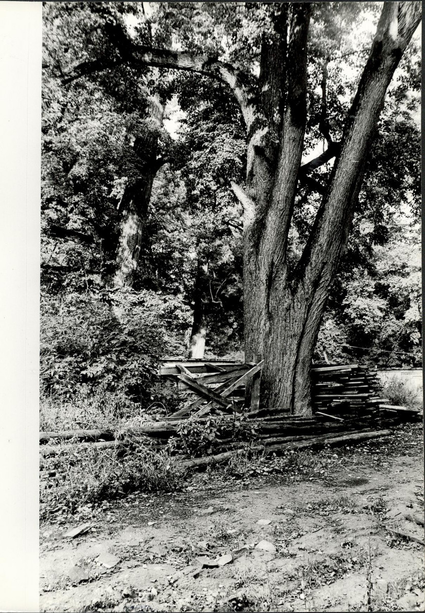 Ewidencja parkowa, skan nr 27