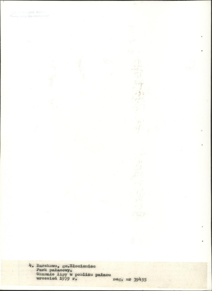 Ewidencja parkowa, skan nr 28