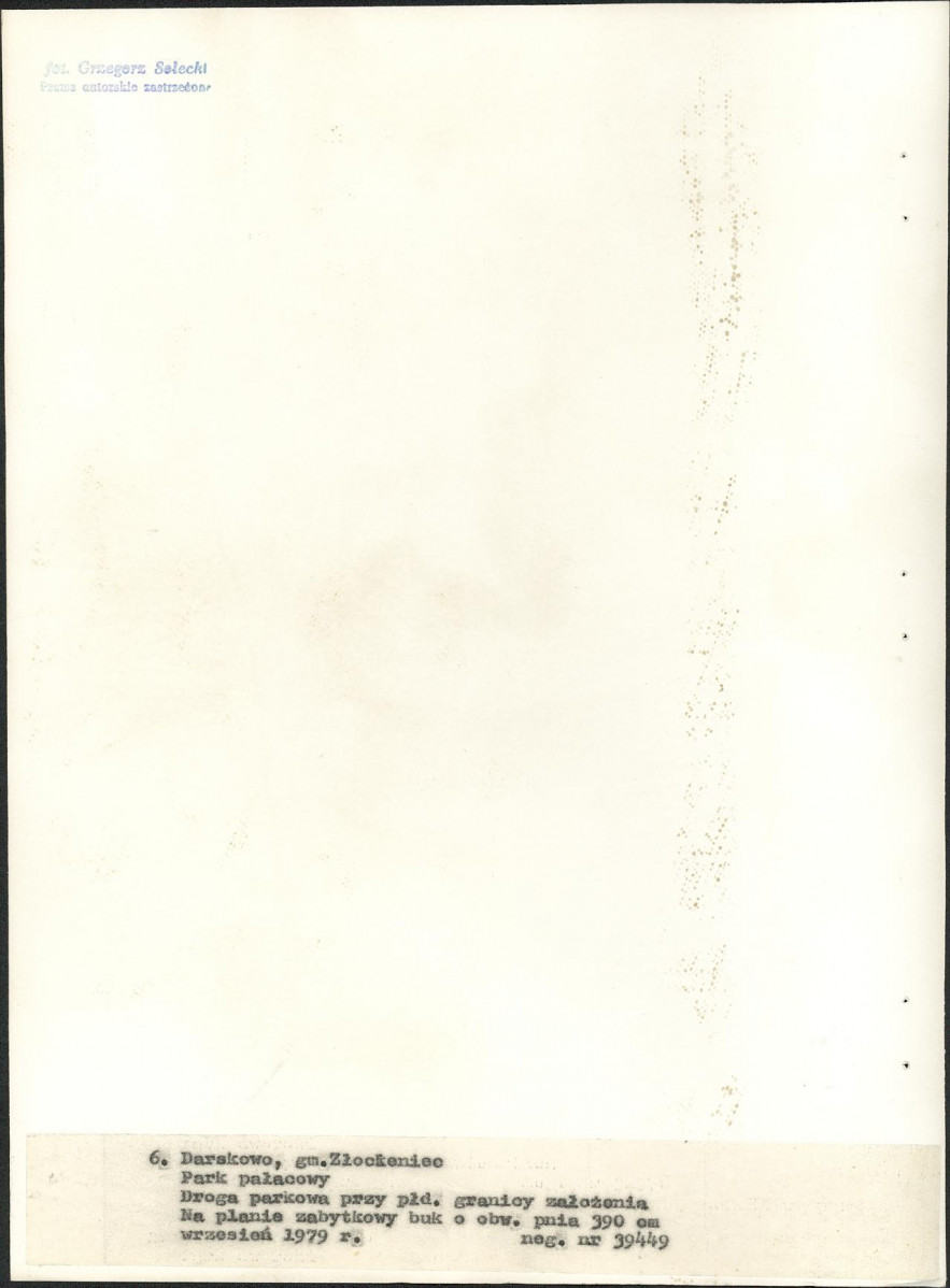 Ewidencja parkowa, skan nr 32