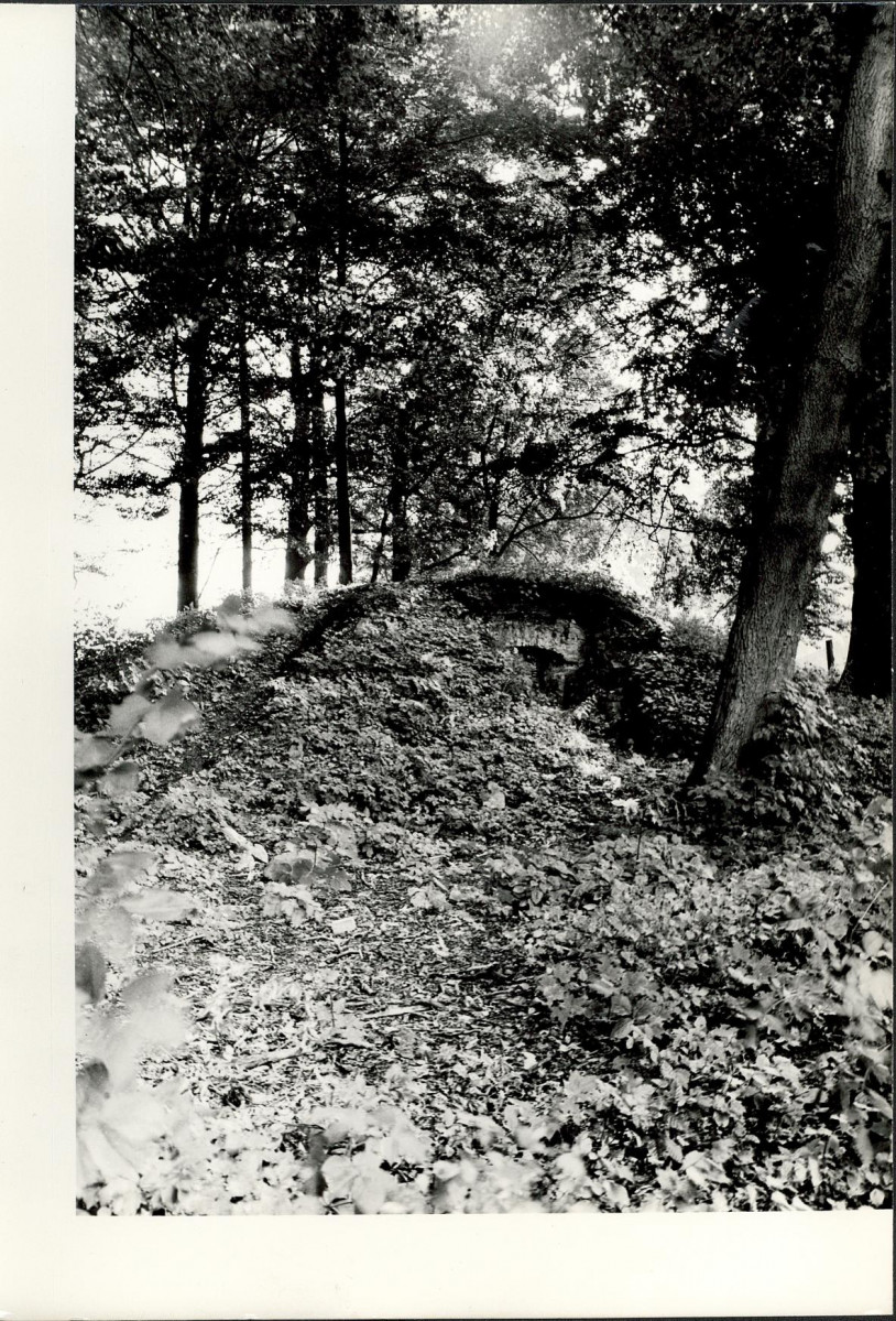 Ewidencja parkowa, skan nr 33