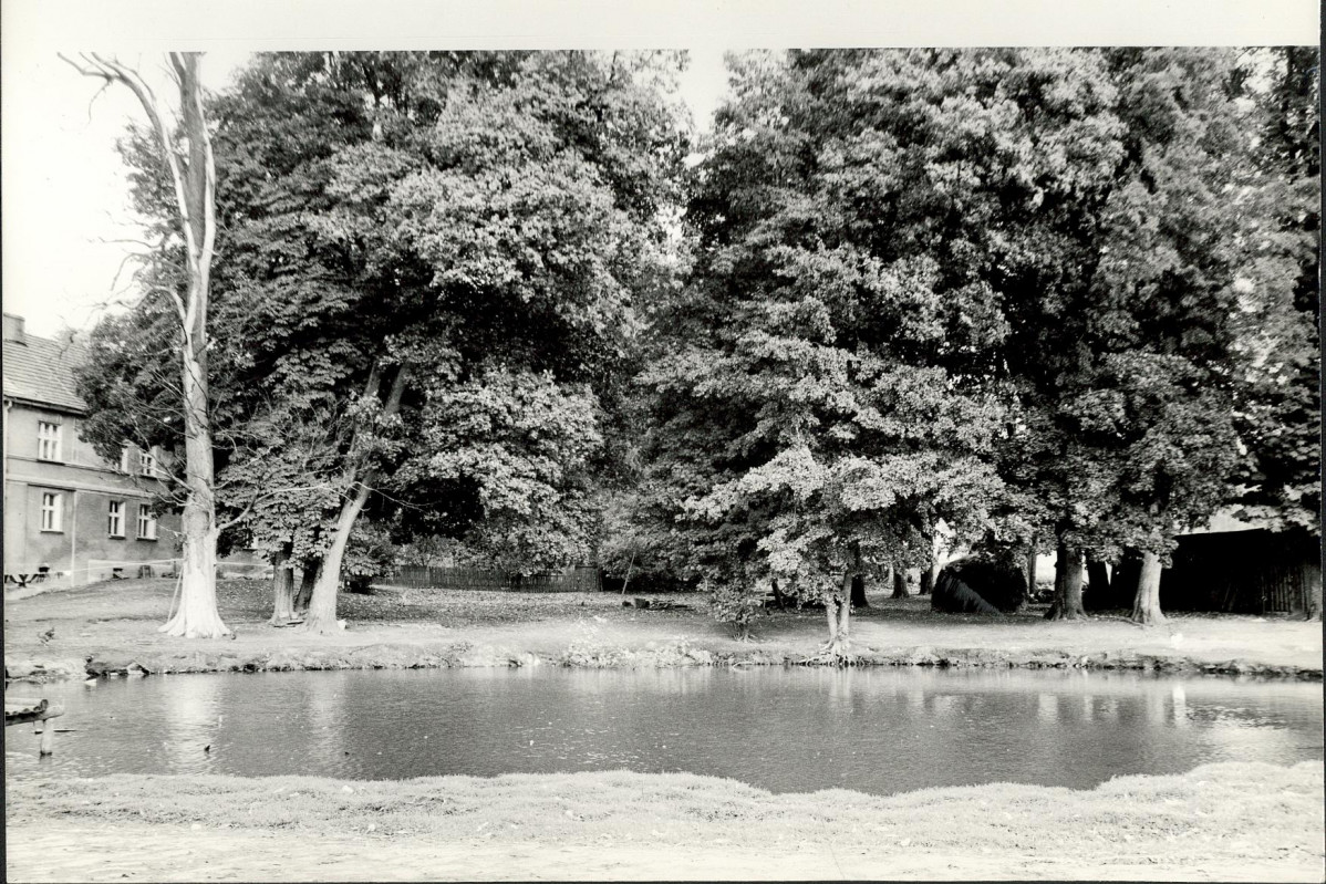 Ewidencja parkowa, skan nr 35